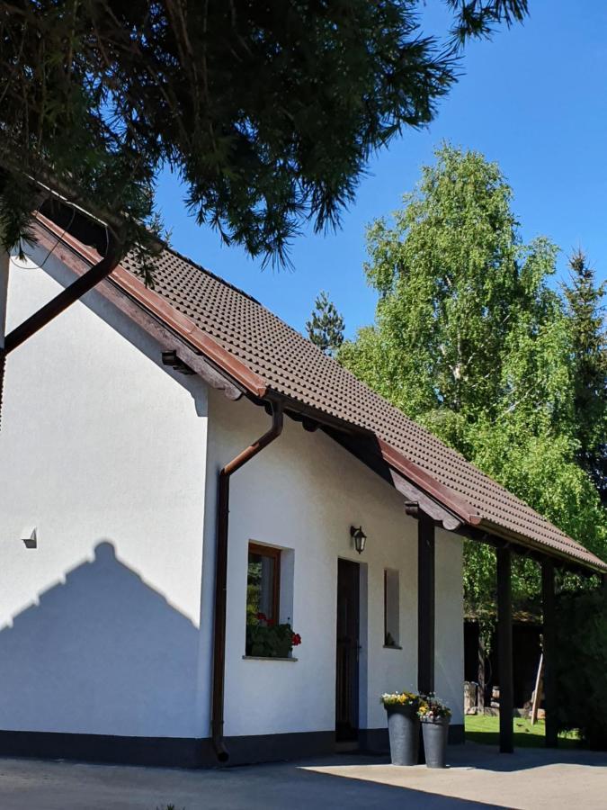 Karkonoskie Historie Myslakowice Bagian luar foto